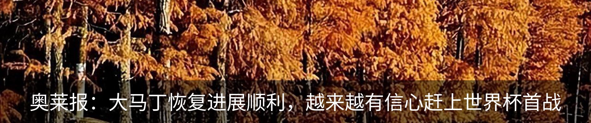 最新动态